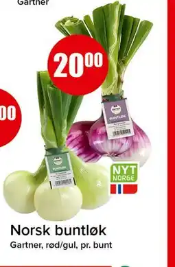 Spar Norsk buntløk tilbud