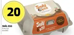 Bunnpris Snål egg tilbud