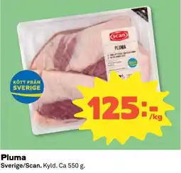Stora Coop Pluma tilbud