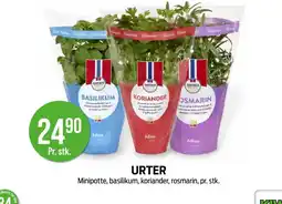Kiwi barna urter tilbud