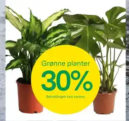 Felleskjøpet Grønne planter tilbud