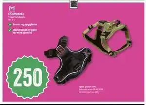 Sport Outlet HUNDESELE tilbud