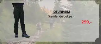 Jotunheim