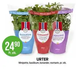 Kiwi URTER tilbud