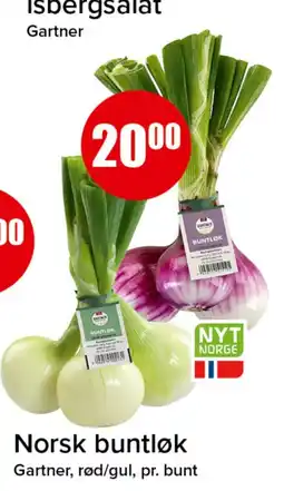 Spar Gartner buntløk tilbud