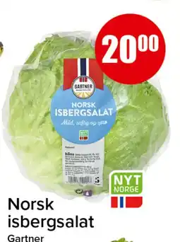 Spar Gartner isbergsalat tilbud