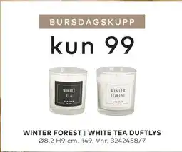 Skeidar WINTER FOREST | WHITE TEA DUFTLYS tilbud