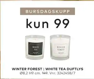 WINTER FOREST | WHITE TEA DUFTLYS