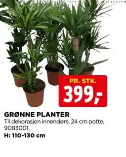 jem & fix GRØNNE PLANTER tilbud