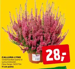 jem & fix Calluna Lyng tilbud