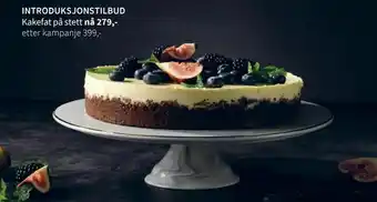 Tilbords Kakefat på stett tilbud