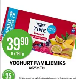 Kiwi YOGHURT FAMILIEMIKS tilbud