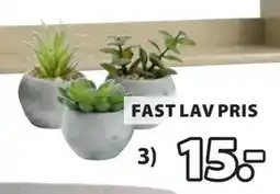 JYSK BROR kunstig plante tilbud