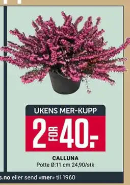 Europris CALLUNA, App-pris tilbud