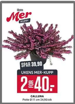 Europris CALLUNA, App-pris tilbud