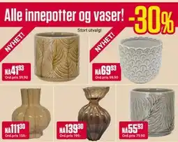 Europris Alle innepotter og vaser! tilbud