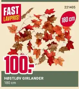 Europris HØSTLØV GIRLANDER tilbud