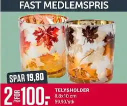 Europris TELYSHOLDER, Medlemspris tilbud