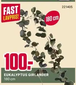 Europris EUKALYPTUS GIRLANDER tilbud