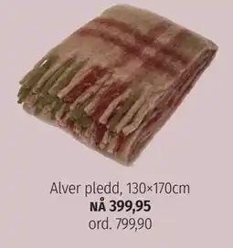 Nille Alver pledd tilbud