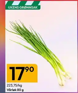 Gigaboks Vårløk 80 g tilbud