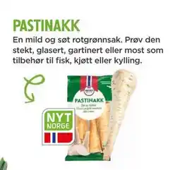 Meny PASTINAKK tilbud
