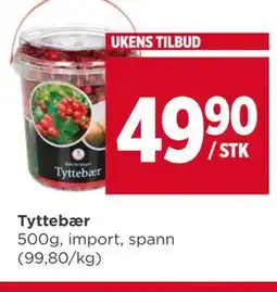 Meny Tyttebær tilbud