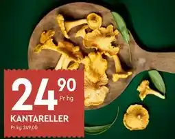 Coop Mega KANTARELLER tilbud