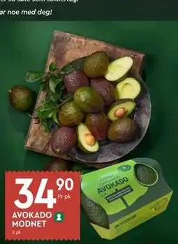 Coop Mega AVOKADO MODNET tilbud