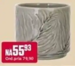 Europris Ceramic pot tilbud