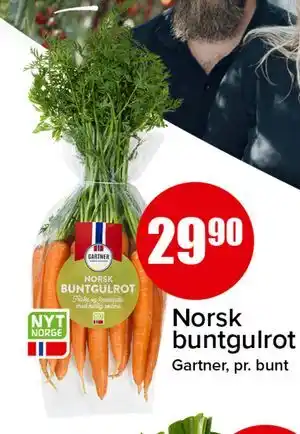 Norsk buntgulrot