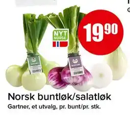 Spar Norsk buntløk/salatløk tilbud