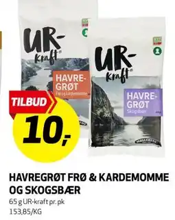 Bunnpris HAVREGRØT FRØ & KARDEMOMME OG SKOGSBÆR tilbud