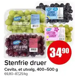 Spar Stenfrie druer tilbud
