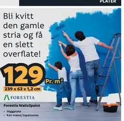 Megaflis Forestia Walls2paint tilbud