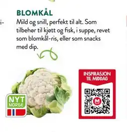 Jacobs BLOMKÅL tilbud