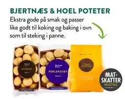 Jacobs BJERTNÆS & HOEL POTETER tilbud