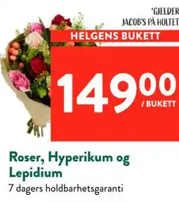 Jacobs Roser, Hyperikum og Lepidium tilbud