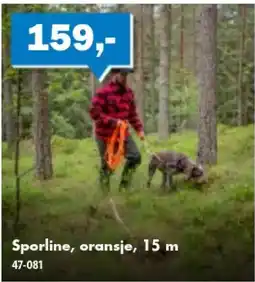 Biltema Sporline, oransje tilbud
