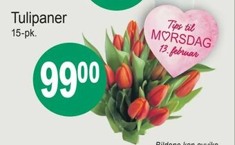 Joker Tulipaner tilbud