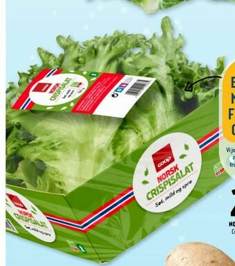 Coop Prix Norsk crispisalat tilbud