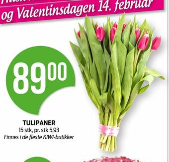 Kiwi Tulipaner tilbud