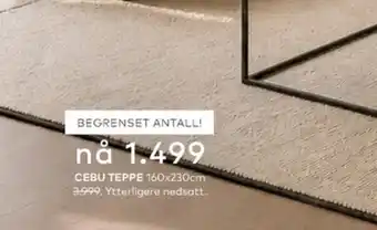 Skeidar Cebu teppe tilbud