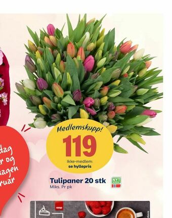 Coop Extra Tulipaner 20 stk tilbud