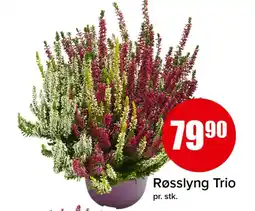 Spar Røsslyng Trio tilbud
