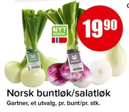 Spar Gartner buntløk/salatløk tilbud