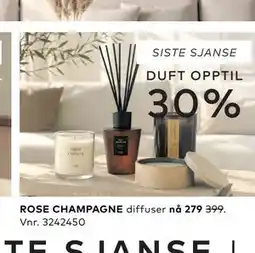 Skeidar ROSE CHAMPAGNE tilbud