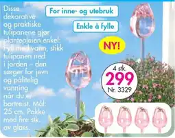 Nyttig Tulipaner tilbud