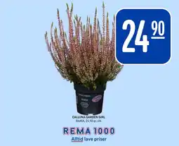 Rema 1000 Calluna Garden Girl tilbud
