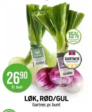 LØK, RØD/GUL